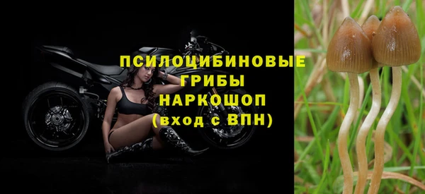 мдпв Надым