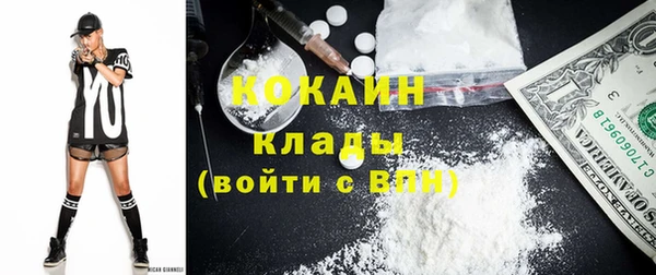 PSILOCYBIN Навашино