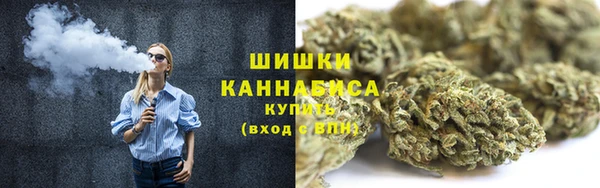 мдпв Надым